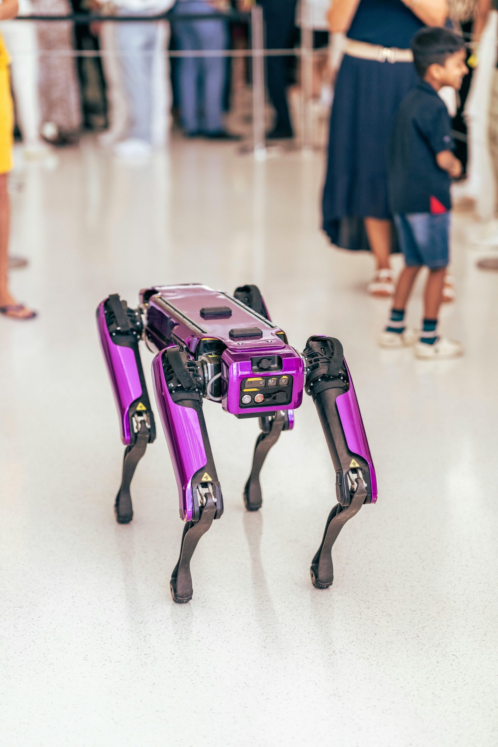 A purple quadruped robot interacting with people in a Dubai exhibition space.