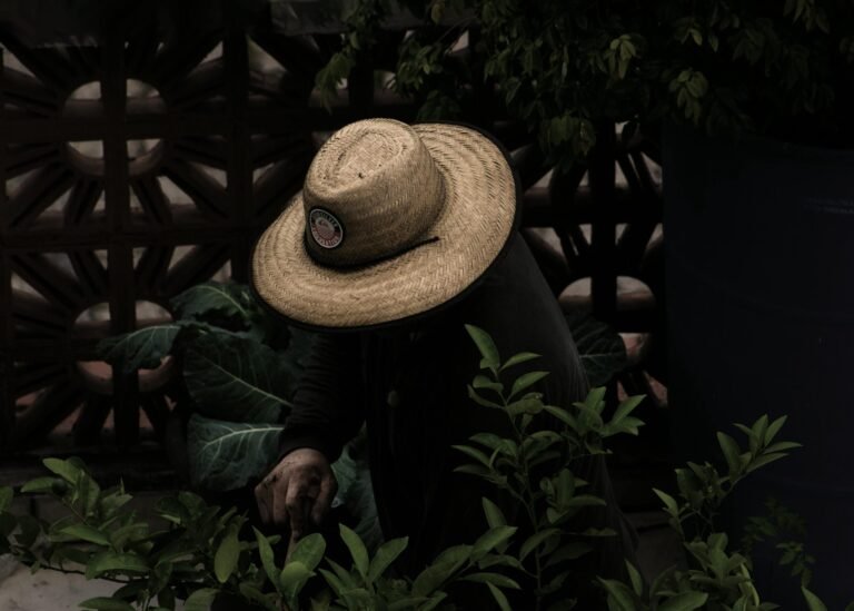 A farmer wearing a straw hat works in a lush garden in São Paulo, Brazil.