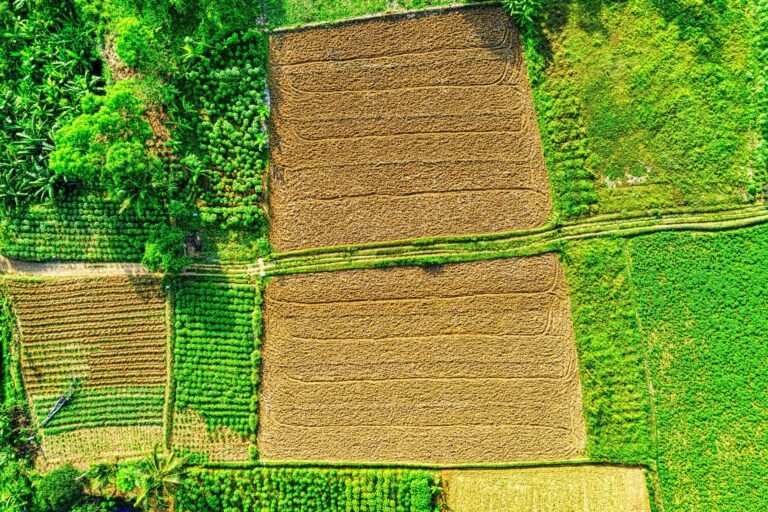 Vibrant aerial landscape of diverse farmland in West Java, showcasing varied crops and colors.